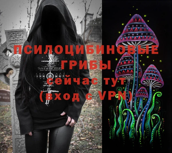 скорость Заводоуковск