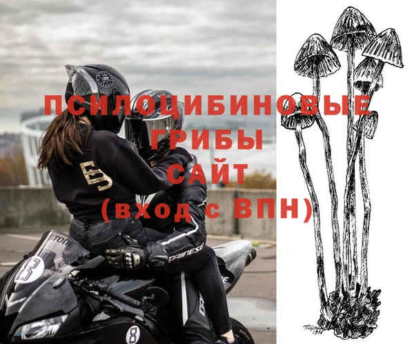 бошки Заволжск